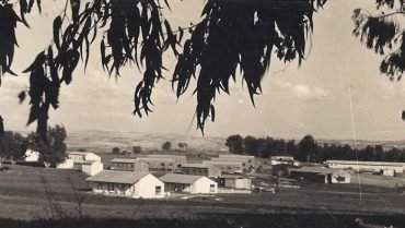 PikiWiki_Israel_10211_nir_eliyahu