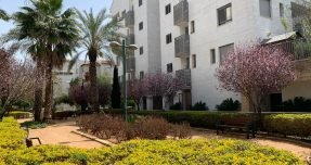 WhatsApp Image 2022-04-05 at 13.49.29