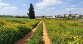 WhatsApp Image 2022-06-28 at 12.36.41