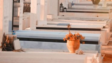 WhatsApp-Image-2022-07-31-at-11.53.32