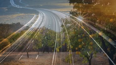 הפקעת-קרקעות