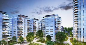 כיסופים-הדמייה-מבט-רחוב