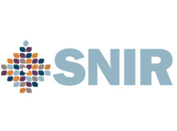 שניר (465 x 237 פיקסל)