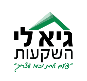 גיא לי השקעות